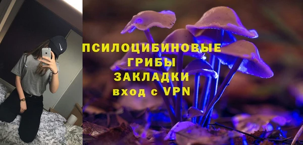 гидропоника Нягань