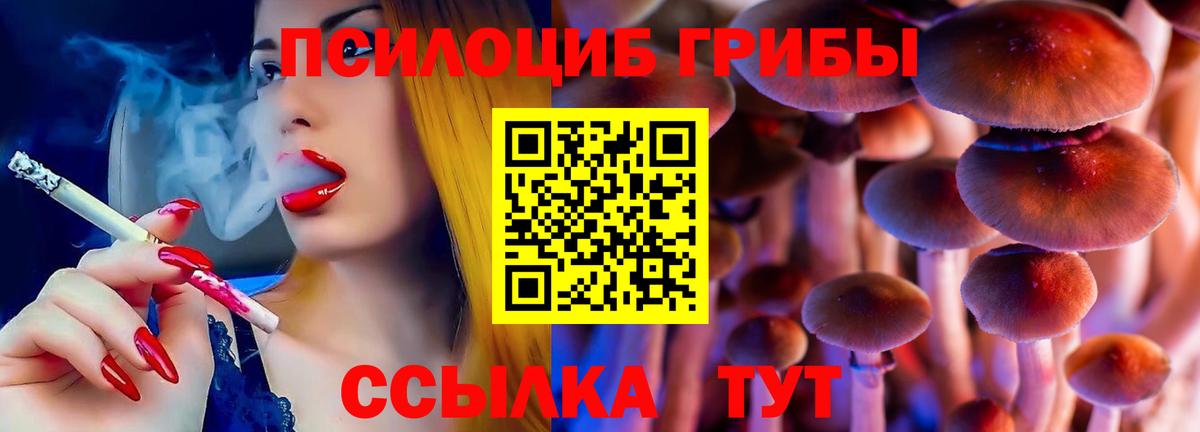 Псилоцибиновые грибы Magic Shrooms  Вход с VPN  Нижний Новгород  Псилоцибиновые грибы Psilocybine cubensis 